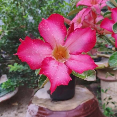 Photo #3798764