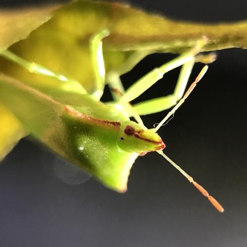 Photo #3798832