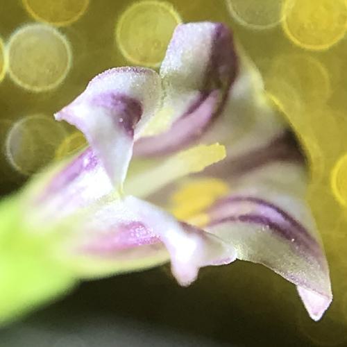 Photo #3798834