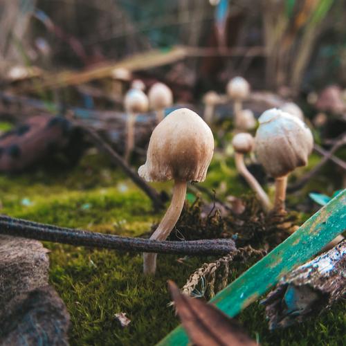 Photo #3799468