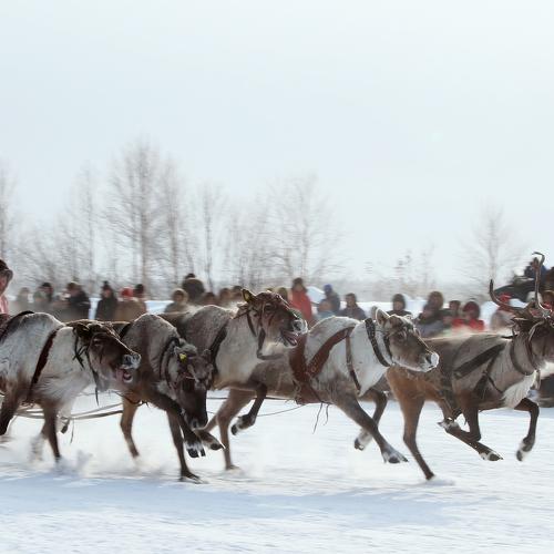 Photo #3799874