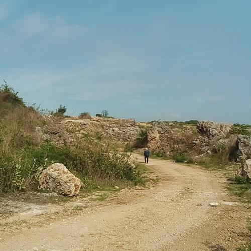 Photo #3799969