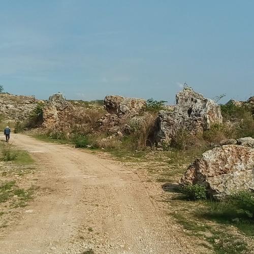 Photo #3799970