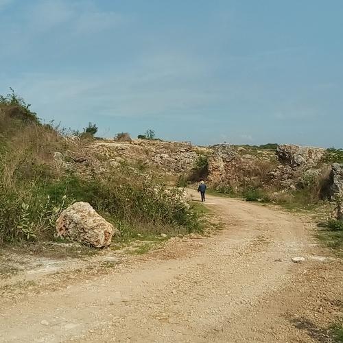 Photo #3799971