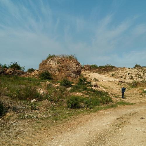 Photo #3799975