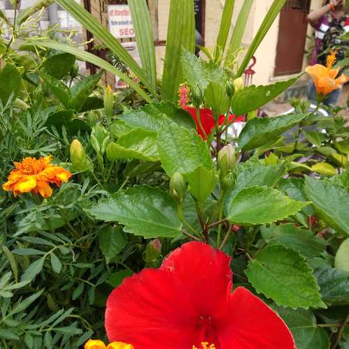Photo #3800234