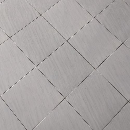 Photo #3800551