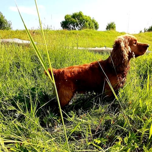 Photo #3800629