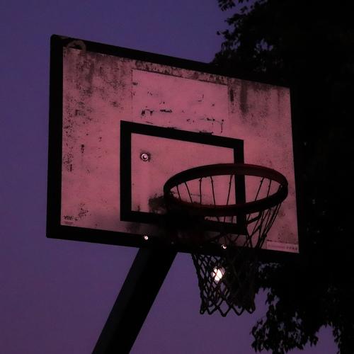 Photo #3800775
