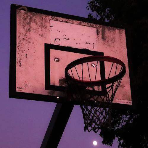 Photo #3800776