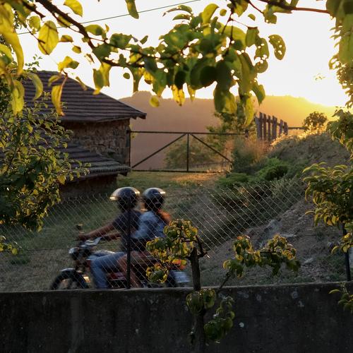 Photo #3800791