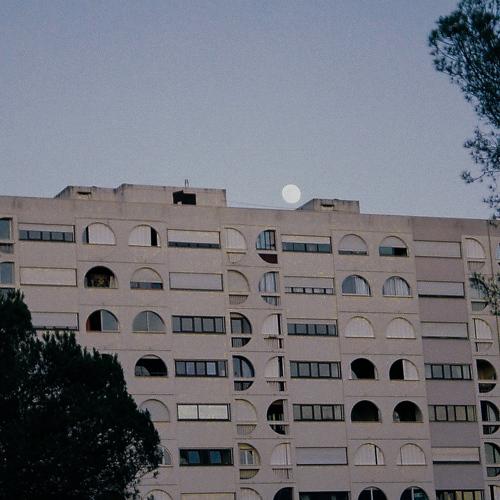 Photo #3800861