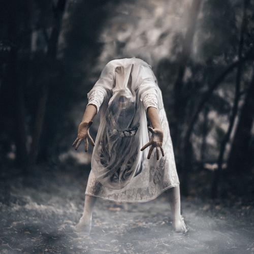 Photo #3801283