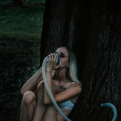 Photo #3801315