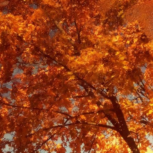 Photo #3801406