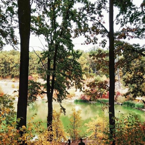 Autumn mood