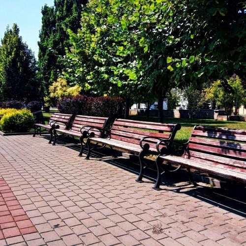 Photo #3801803