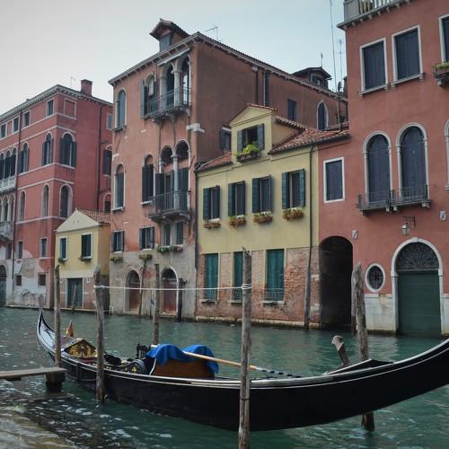Photo #3802660