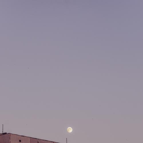 Photo #3802870