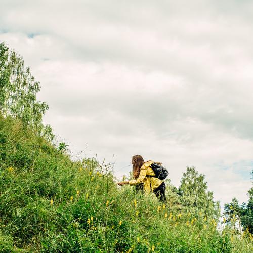 Photo #3802891