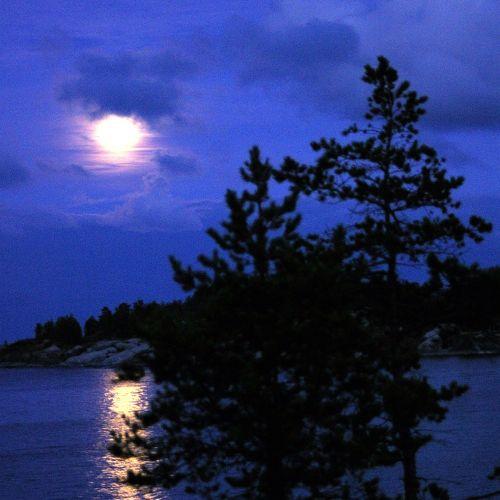 Photo #3803043