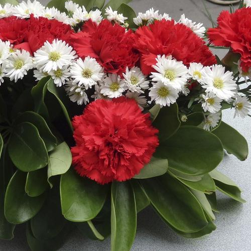 Photo #3803102