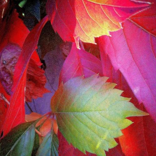 Photo #3803119