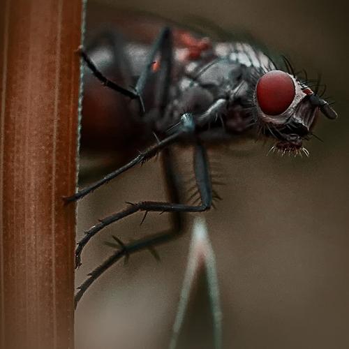 Photo #3803349