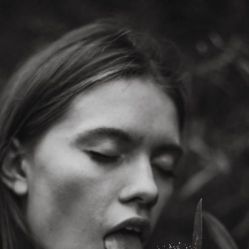 Photo #3803563