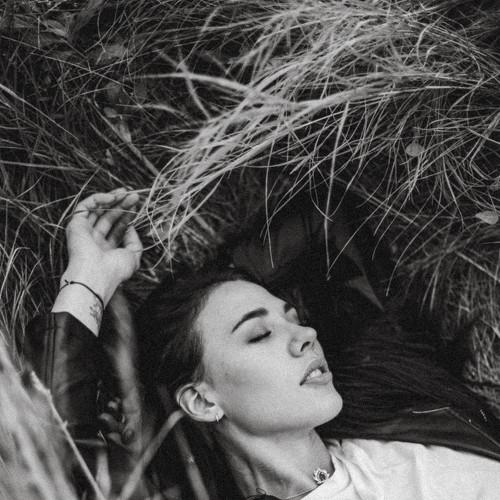Photo #3803564