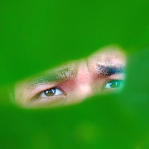 green vision