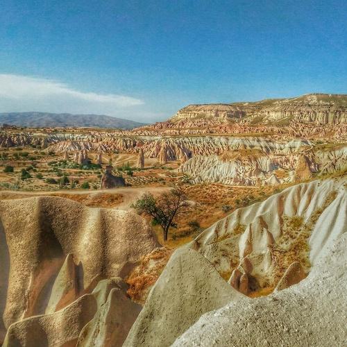 Photo #3804145