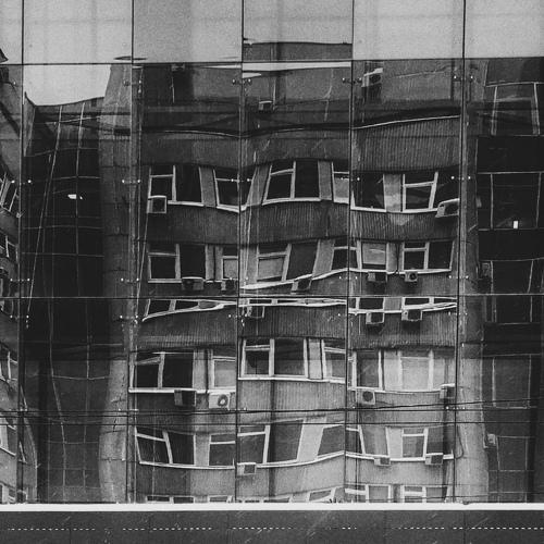 Photo #3805001