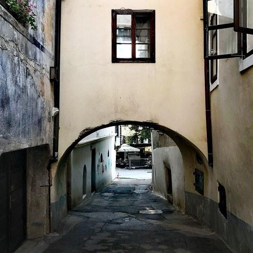 Photo #3805139