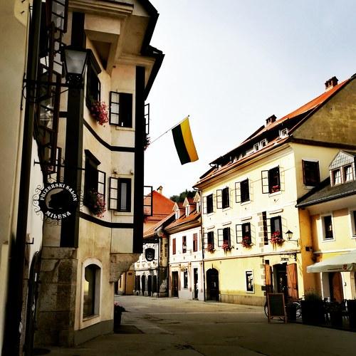 Photo #3805143