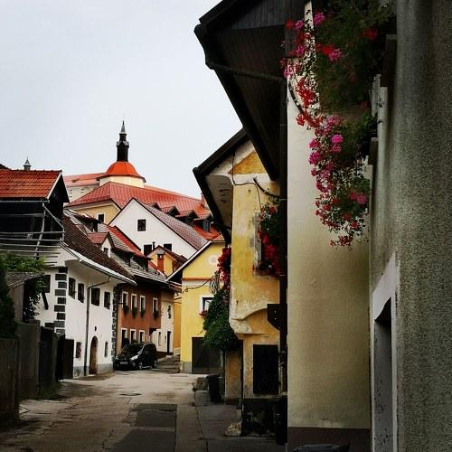 Photo #3805157