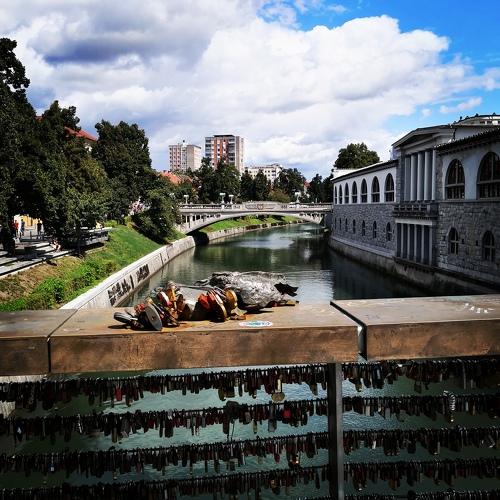 Photo #3805168