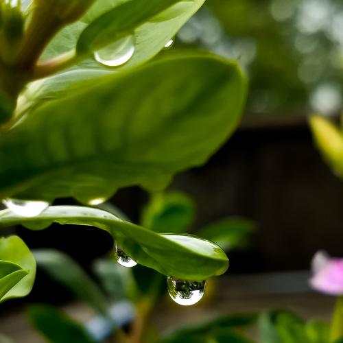 Photo #3805657