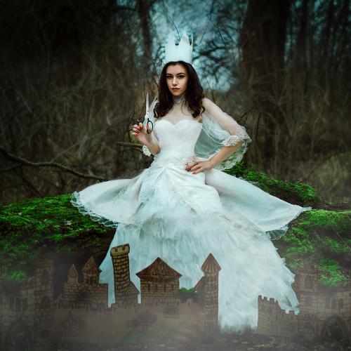 Photo #3806704