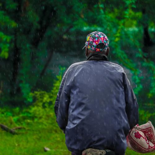 Photo #3806911