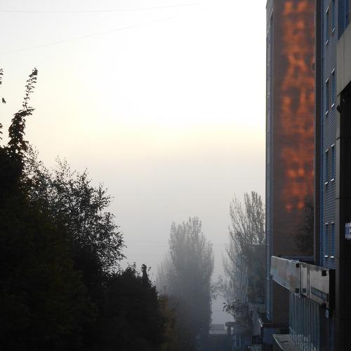Photo #3806942