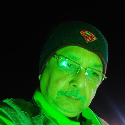 Photo #3806953