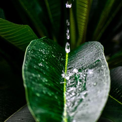 Photo #3806994