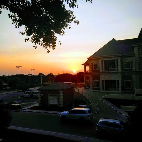Photo #3807036