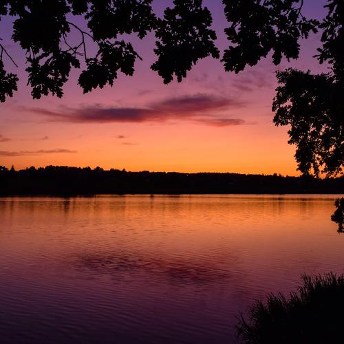 Photo #3807757