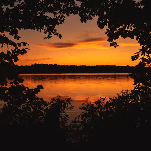 Photo #3807771