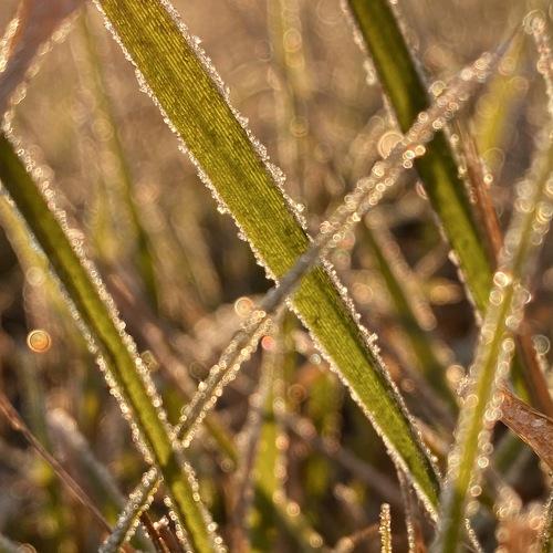 Photo #3808018