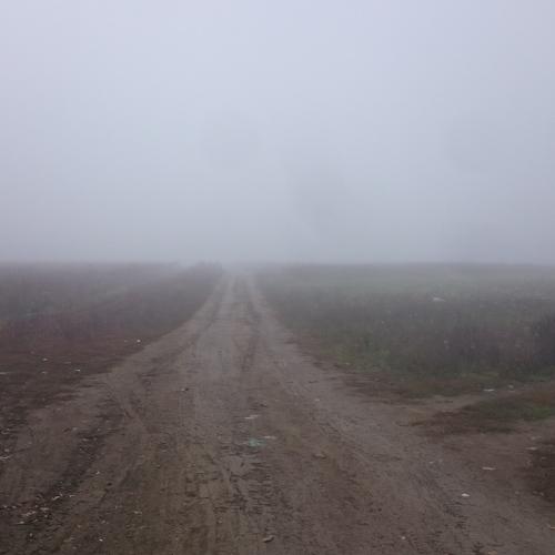 Photo #3808233