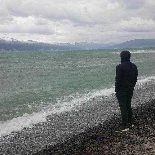 Photo #3808252