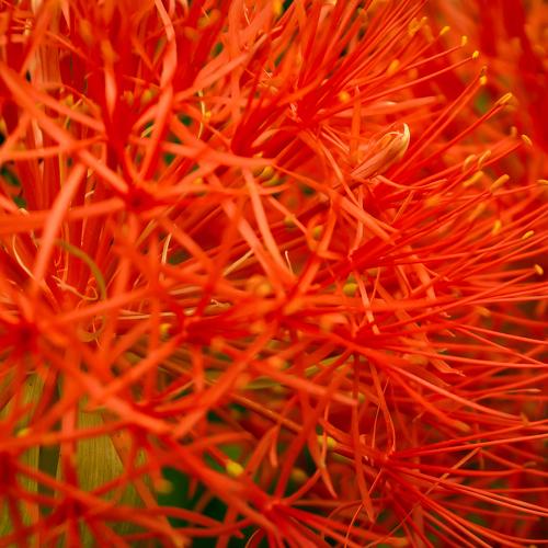 Photo #3808518